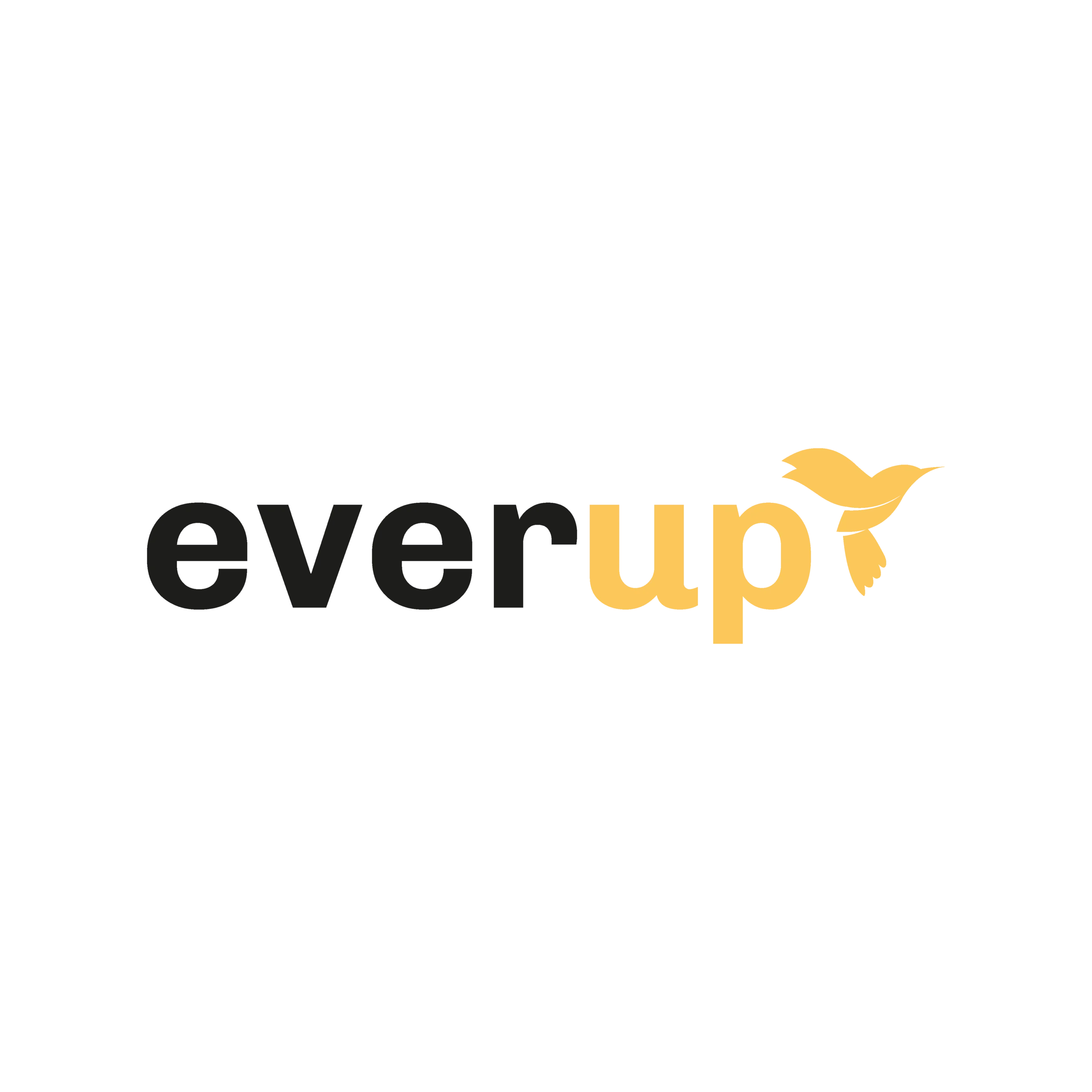 web-designer-everup